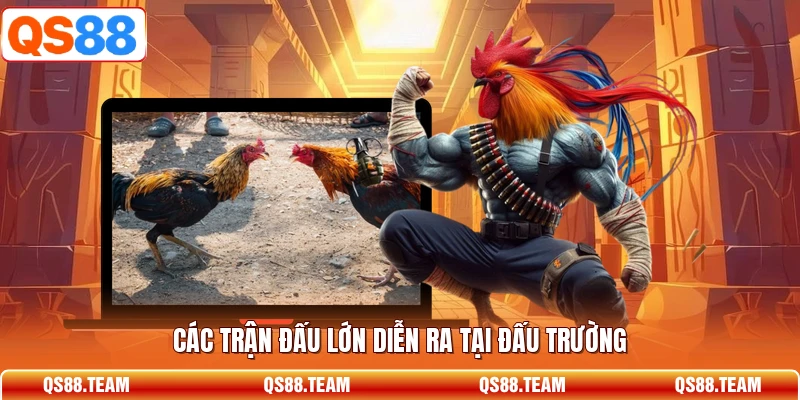 Hình minh họa khung video và diễn biến trận được theo dõi trên thiết bị.