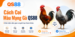 Cách Coi Màu Mạng Gà QS88 – Khái Niệm Dân Gian Và Giới Hạn Tham Khảo