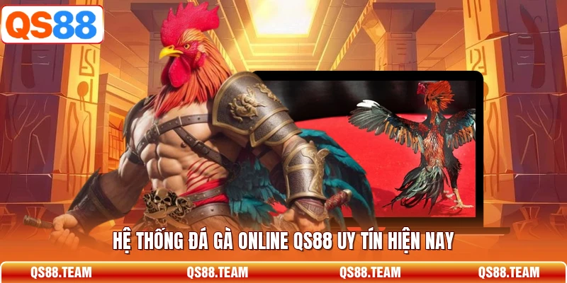 Hình minh họa cho khu vực theo dõi trận đá gà online trên thiết bị.