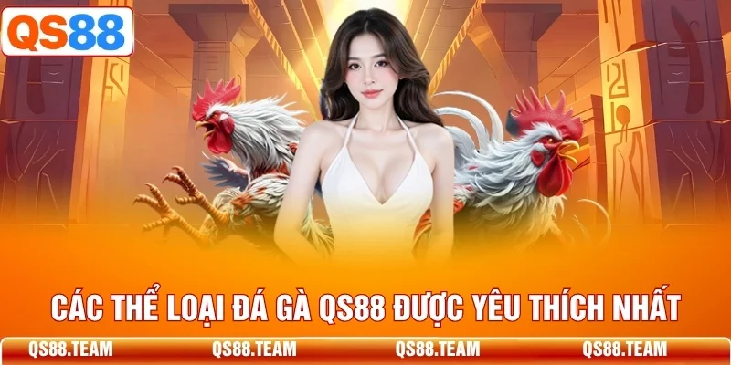 Minh họa các loại hình trong chuyên mục đá gà QS88